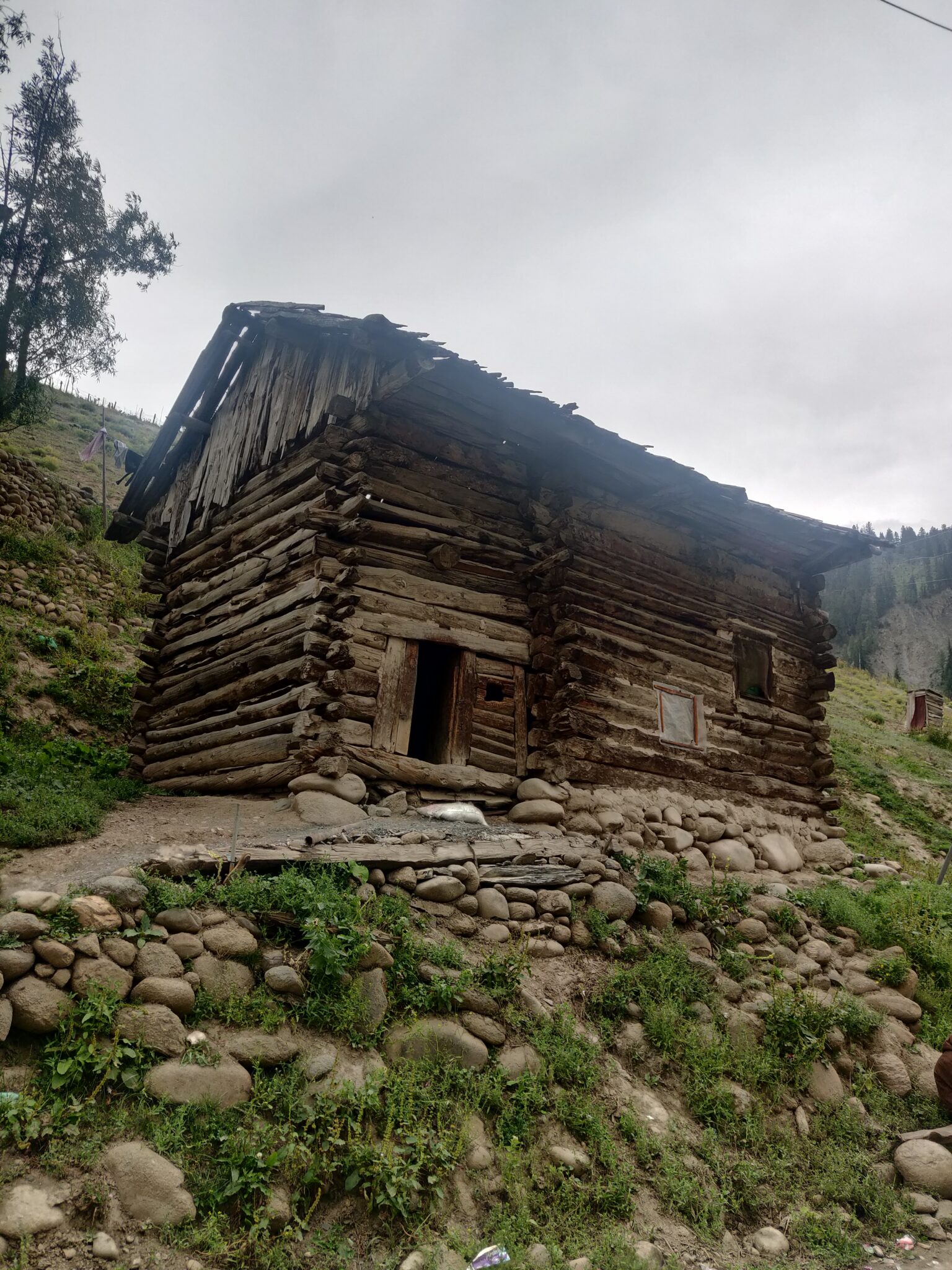 Grazing Sheep in Gurez